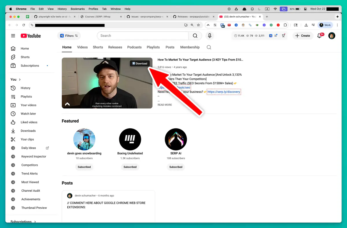 Youtube Video Downloader browser extension screenshot 2